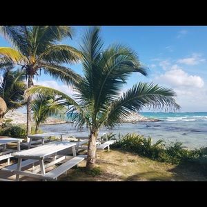 Meet your Posher, Sasha